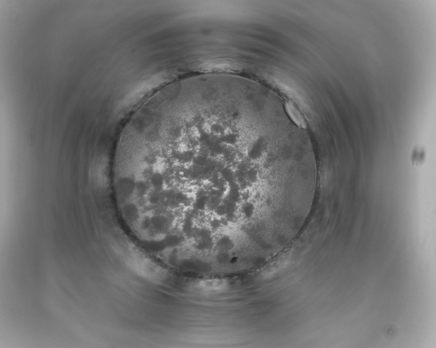 X0000091920353200709121543