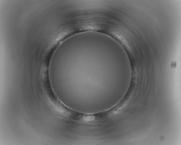 X0000091920355200709121543