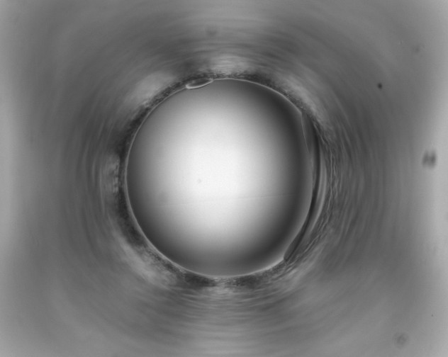 X0000091920356200709121543