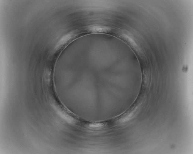 X0000091920357200709121543