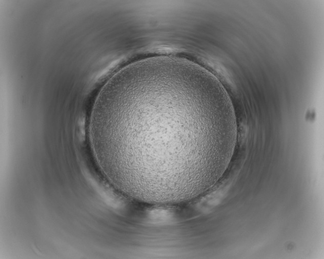 X0000091920358200709121543