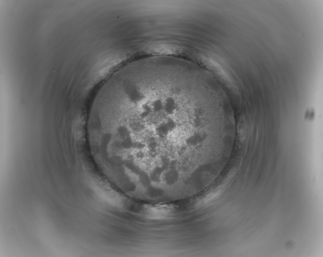 X0000091920359200709121543