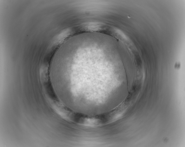 X0000091920360200709121543