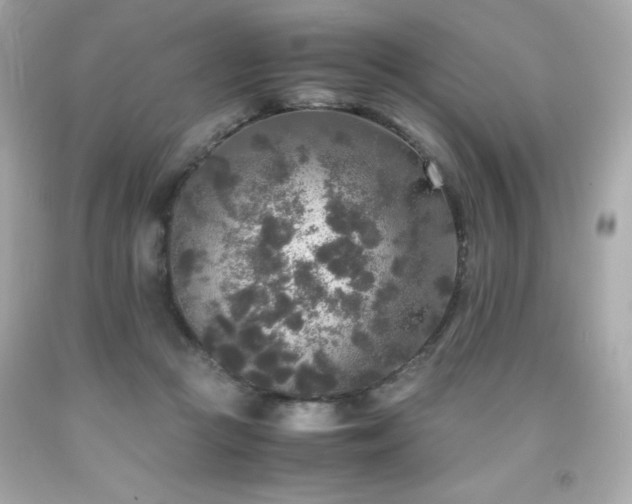 X0000091920361200709121543