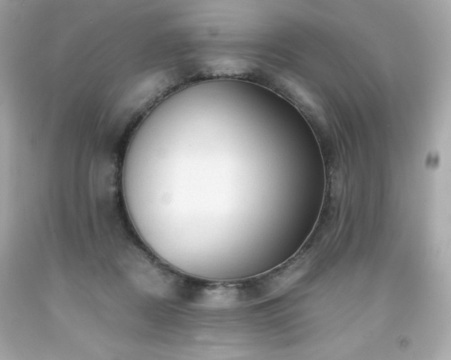 X0000091920362200709121543