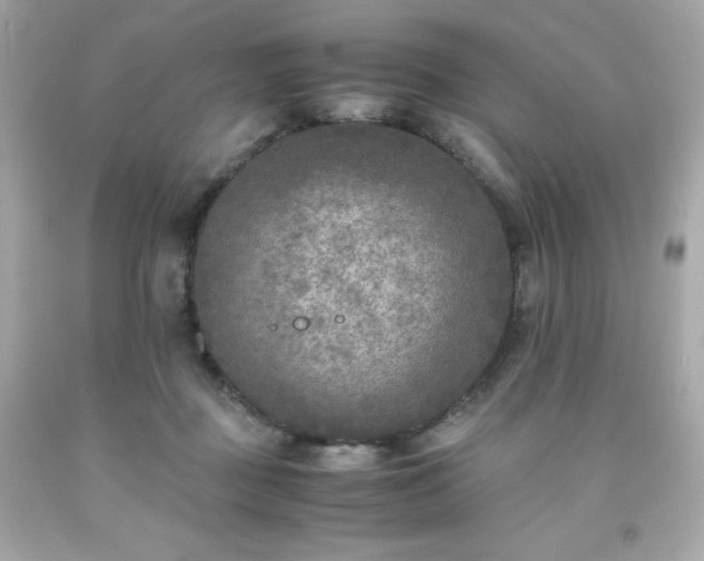 X0000091920363200709121543