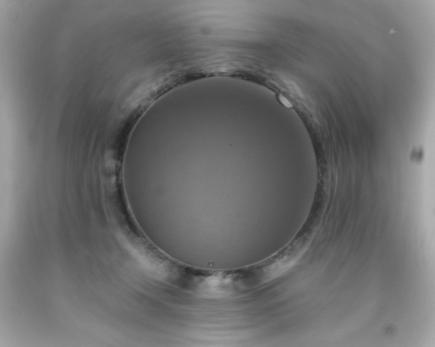 X0000091920366200709121543