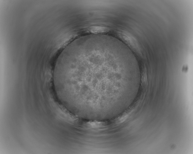 X0000091920367200709121543
