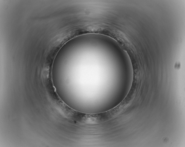 X0000091920368200709121543