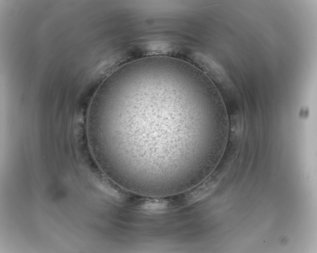X0000091920369200709121543