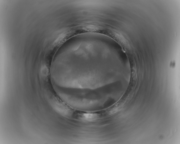 X0000091920371200709121543