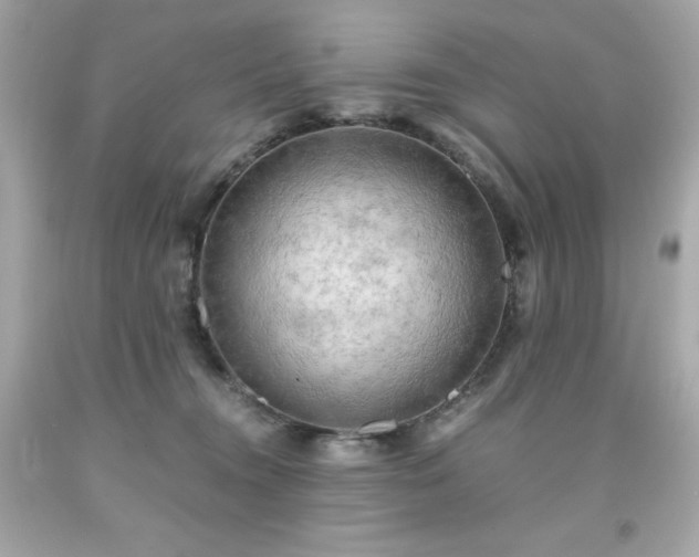 X0000091920372200709121543
