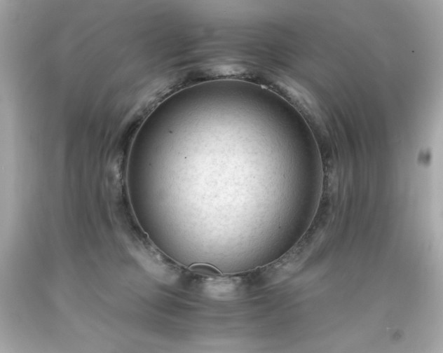 X0000091920373200709121543