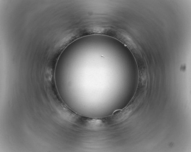 X0000091920374200709121543