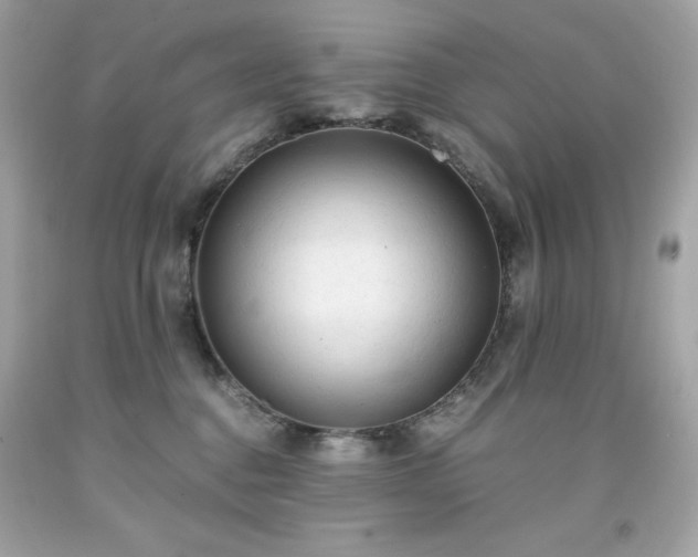 X0000091920376200709121543
