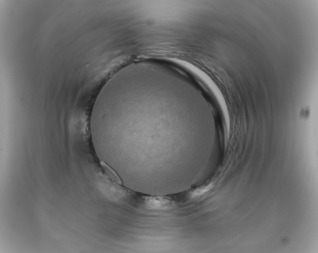 X0000091920380200709121543