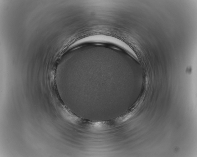 X0000091920382200709121543