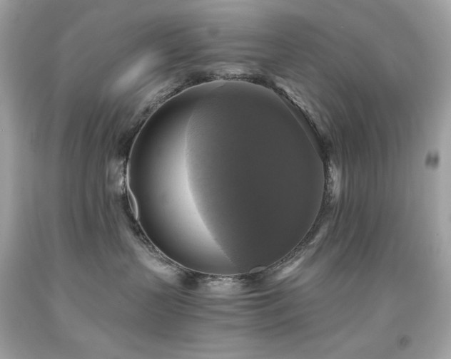 X0000091920383200709121543