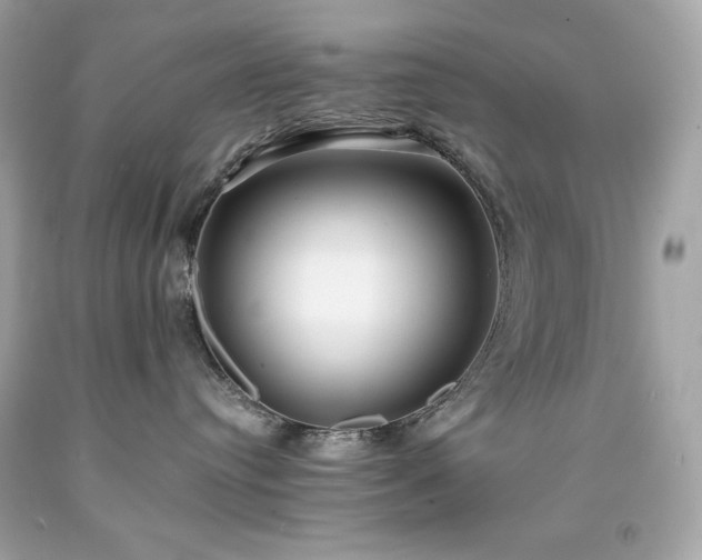 X0000091920384200709121543