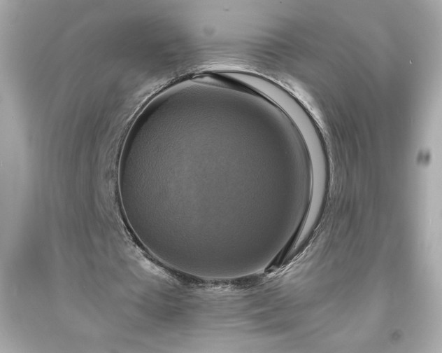 X0000091920385200709121542