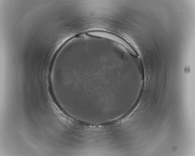 X0000091920386200709121542