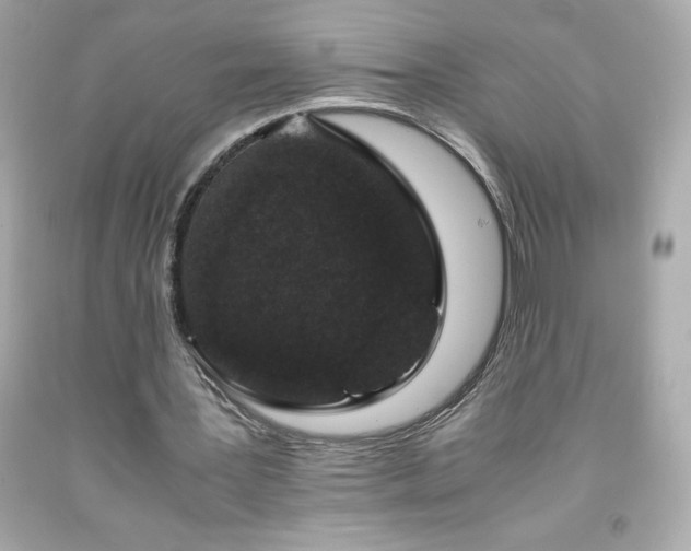 X0000091920387200709121542