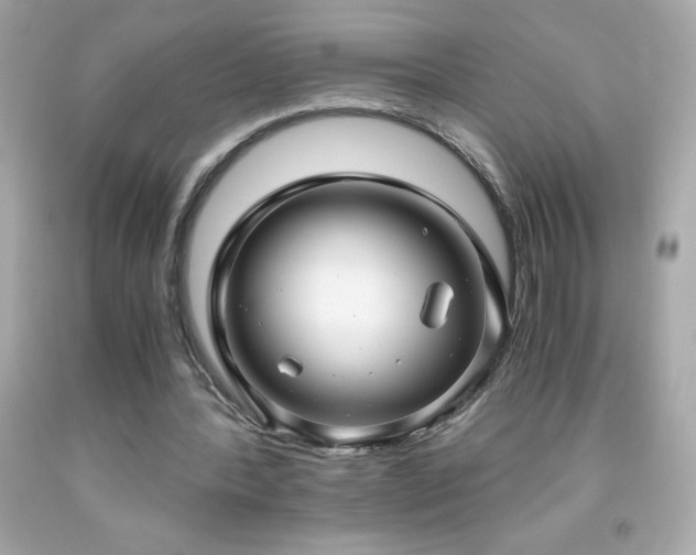 X0000091920388200709121542