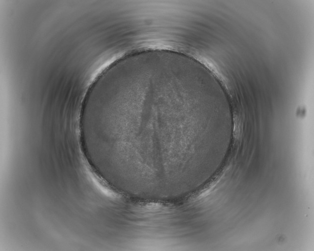 X0000091920390200709121542