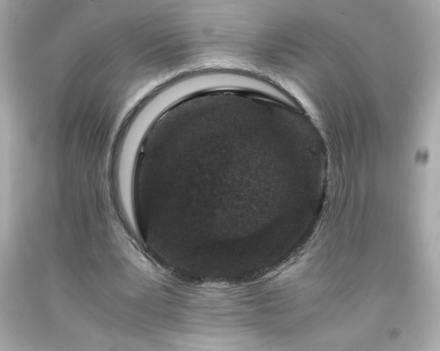 X0000091920391200709121542