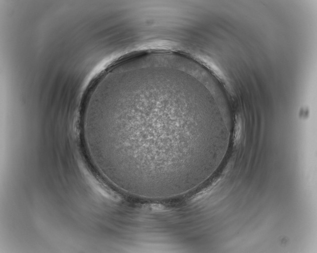X0000091920392200709121542