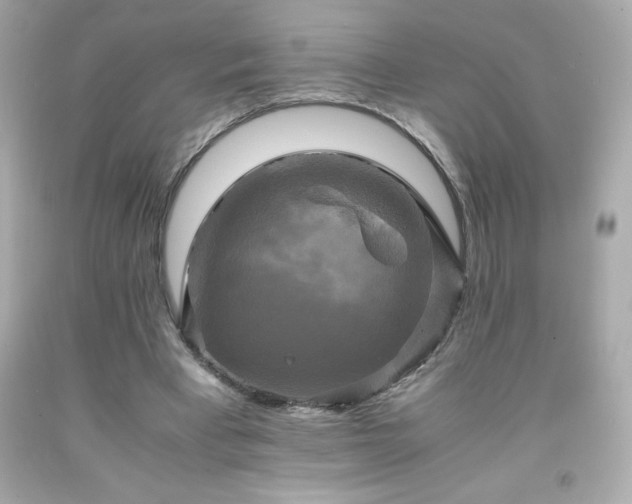X0000091920393200709121542