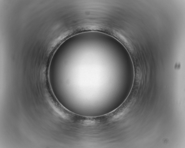 X0000091920394200709121542