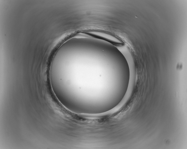 X0000091920395200709121542
