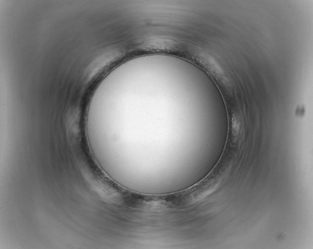 X0000091920396200709121542