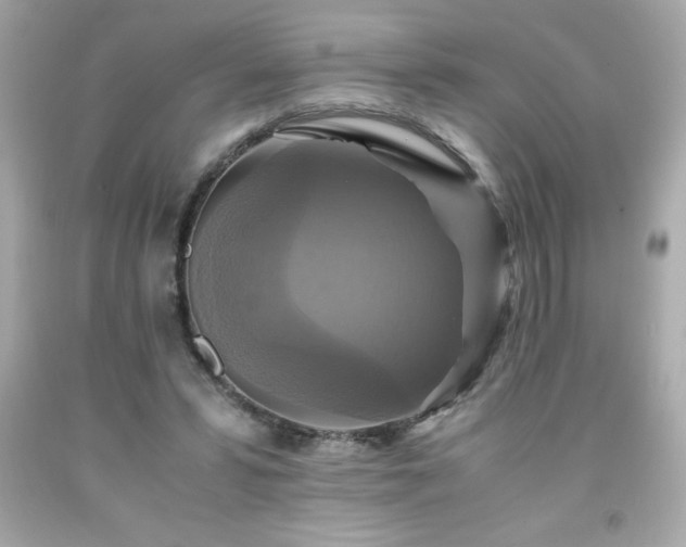 X0000091920399200709121542