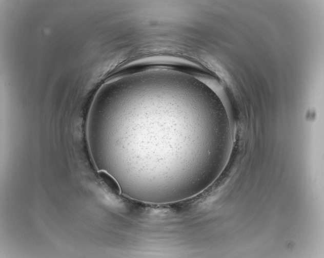 X0000091920401200709121542