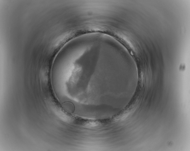 X0000091920402200709121542
