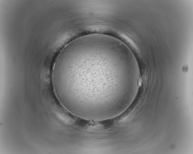 X0000091920403200709121542