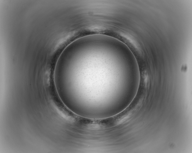 X0000091920404200709121542
