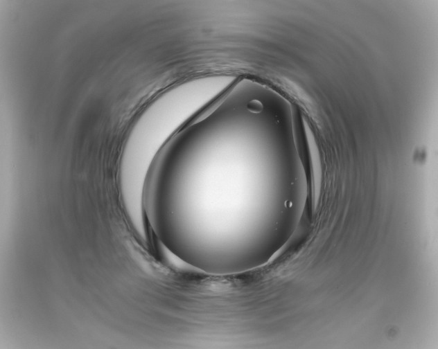 X0000091920405200709121542