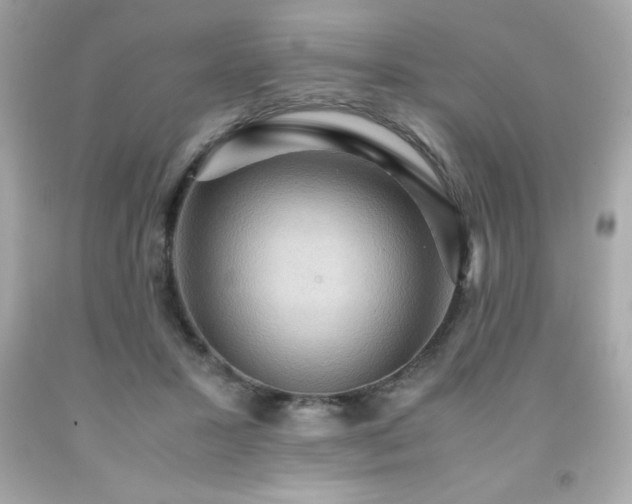 X0000091920407200709121542