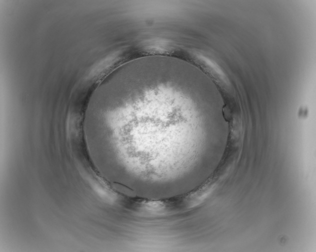 X0000091920409200709121542