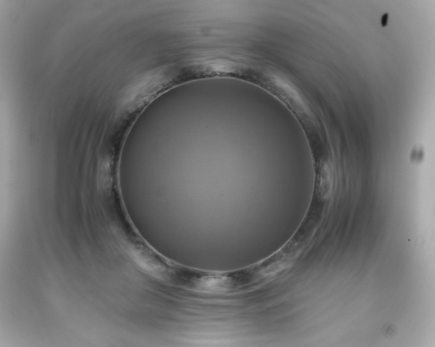 X0000091920410200709121542