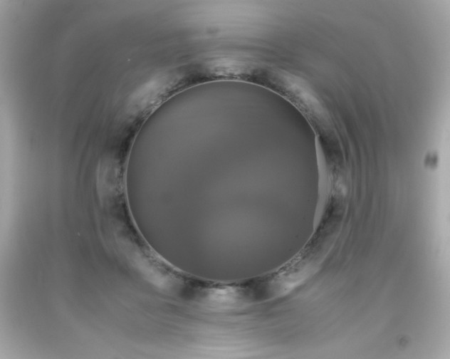 X0000091920411200709121542