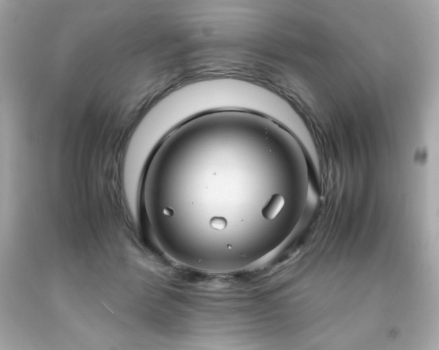 X0000091920412200709121542