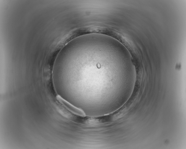 X0000091920413200709121542