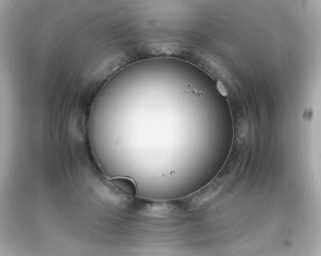 X0000091920414200709121542