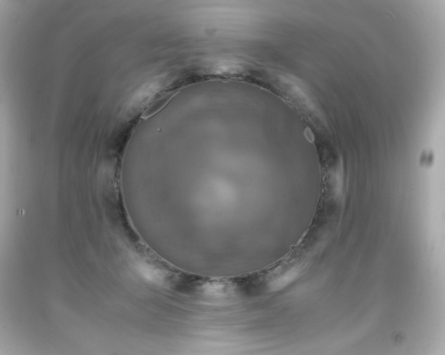 X0000091920415200709121542
