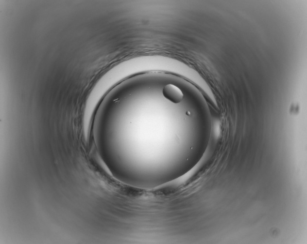 X0000091920416200709121542