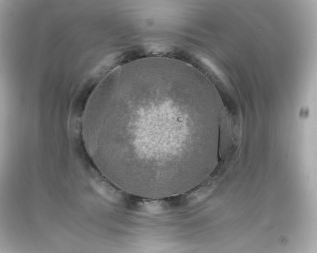 X0000091920417200709121542